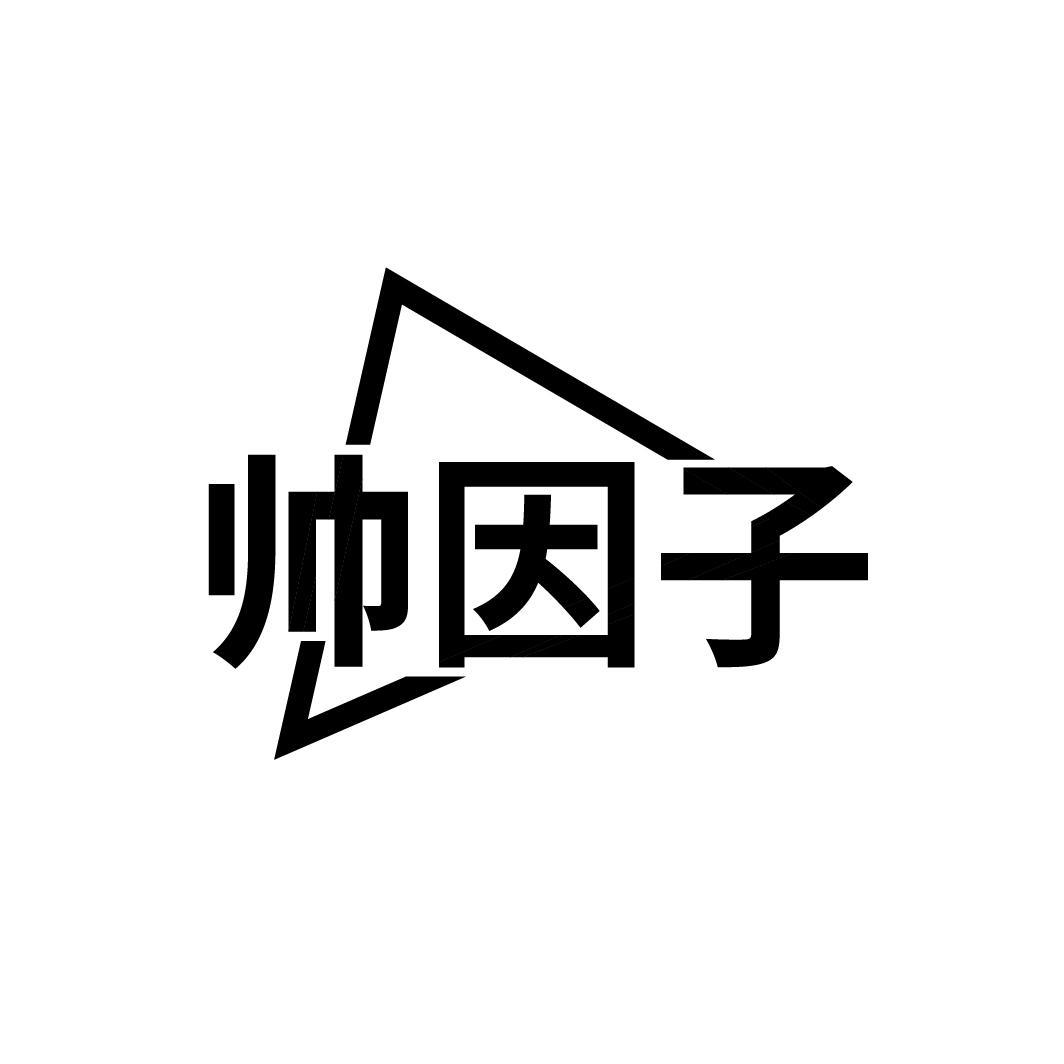 帅因子
