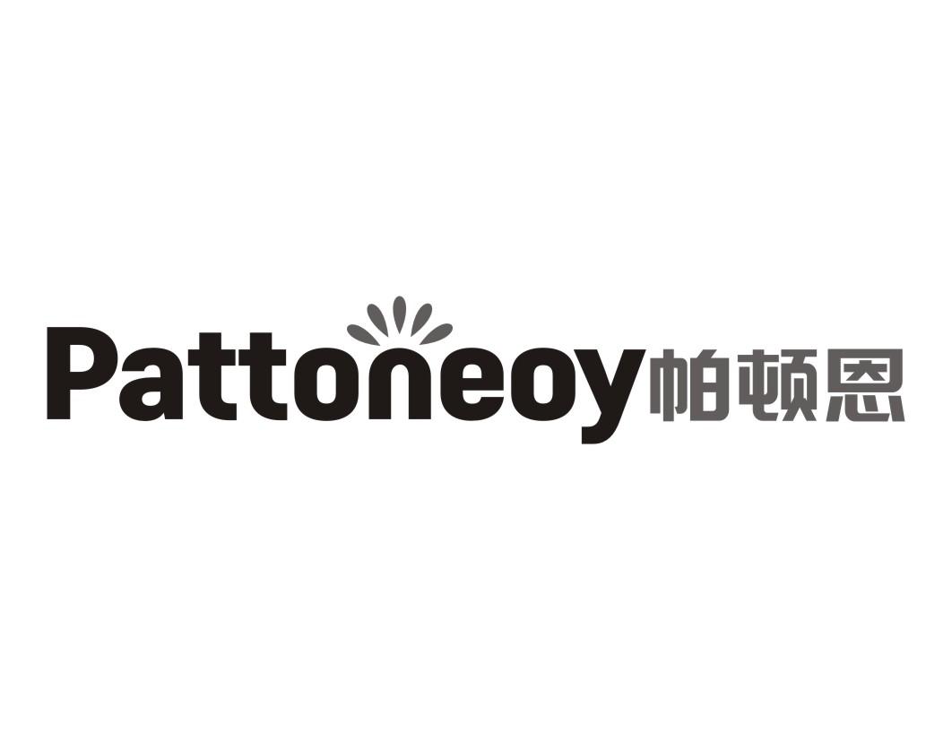 帕顿恩pattoneoy