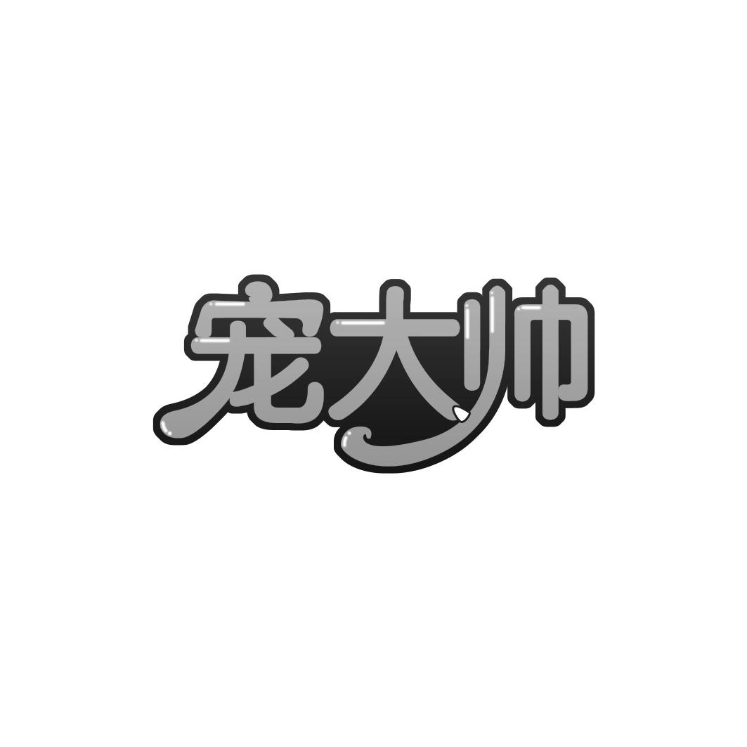 宠大帅