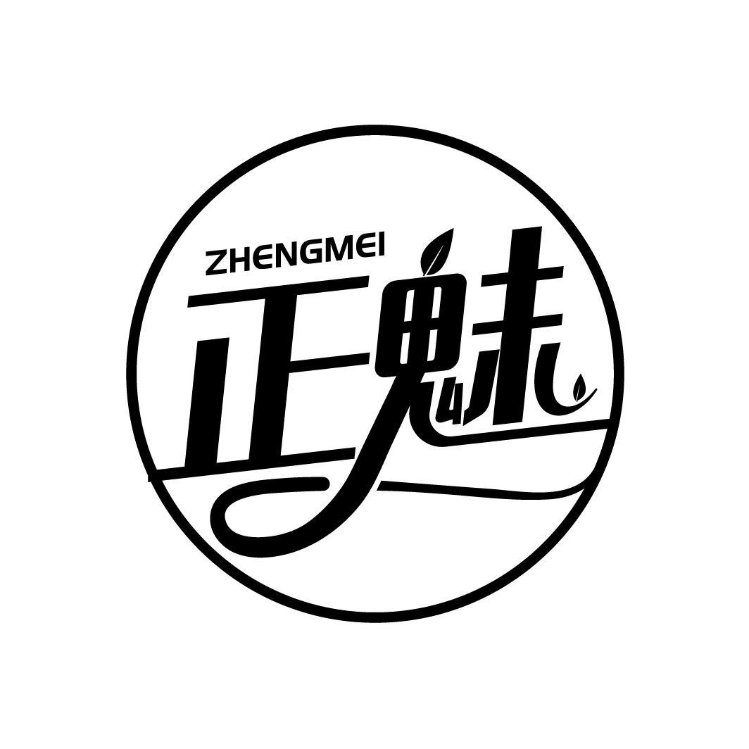 正魅
ZHENGMEI