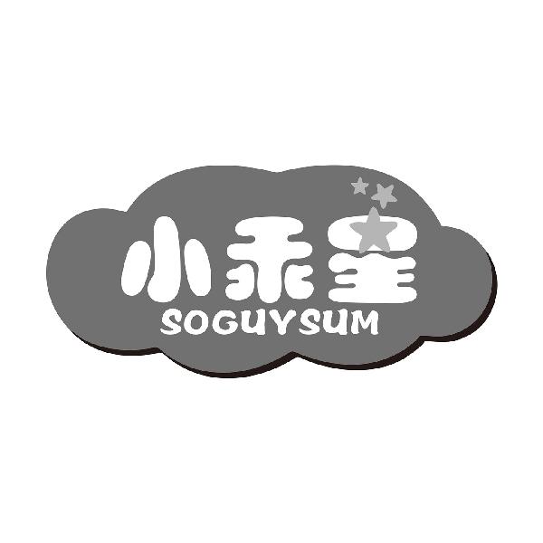 小乖星
SOGUYSUM