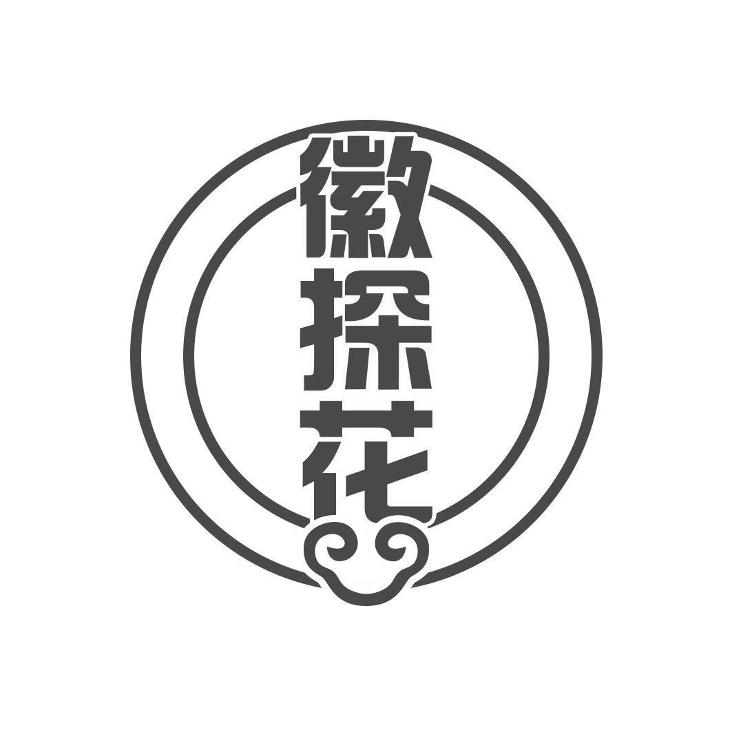 徽探花