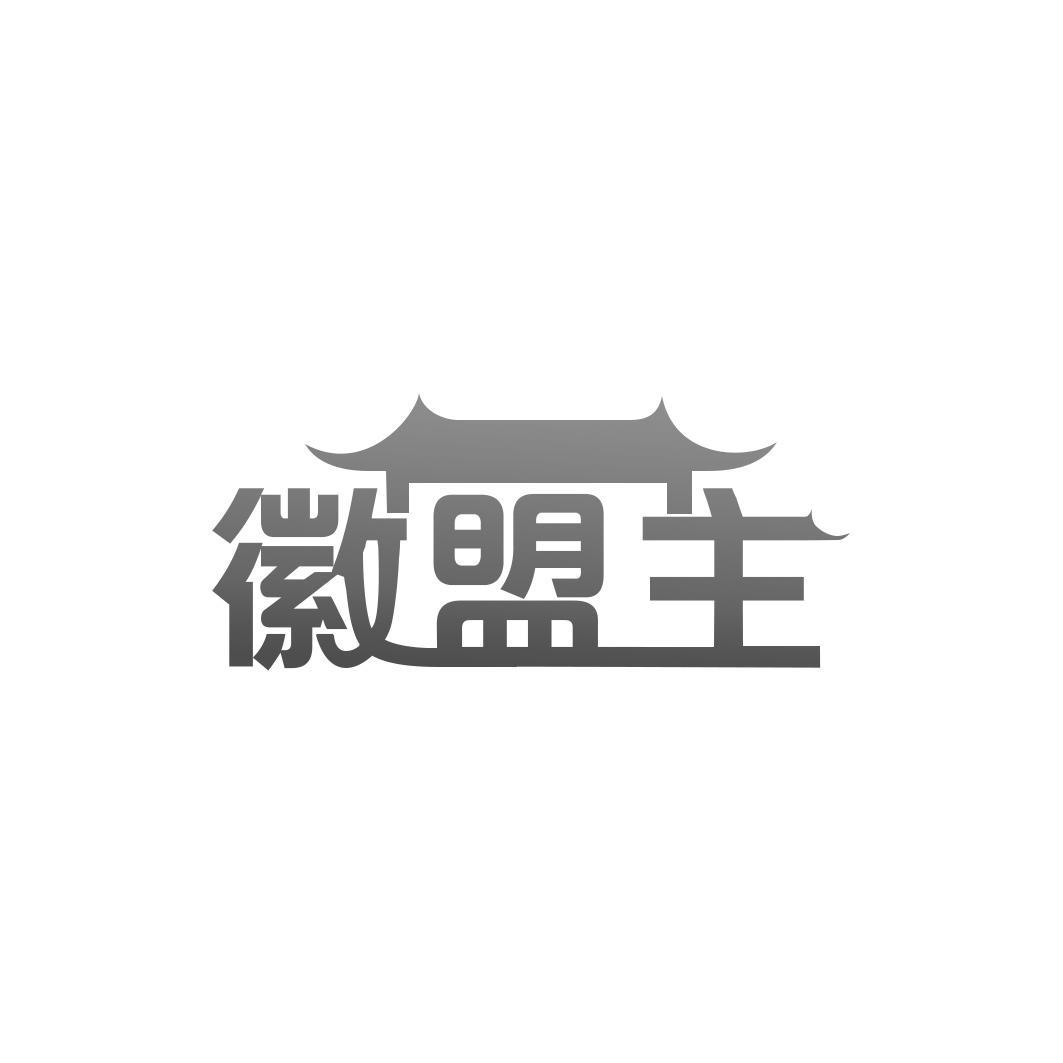 徽盟主