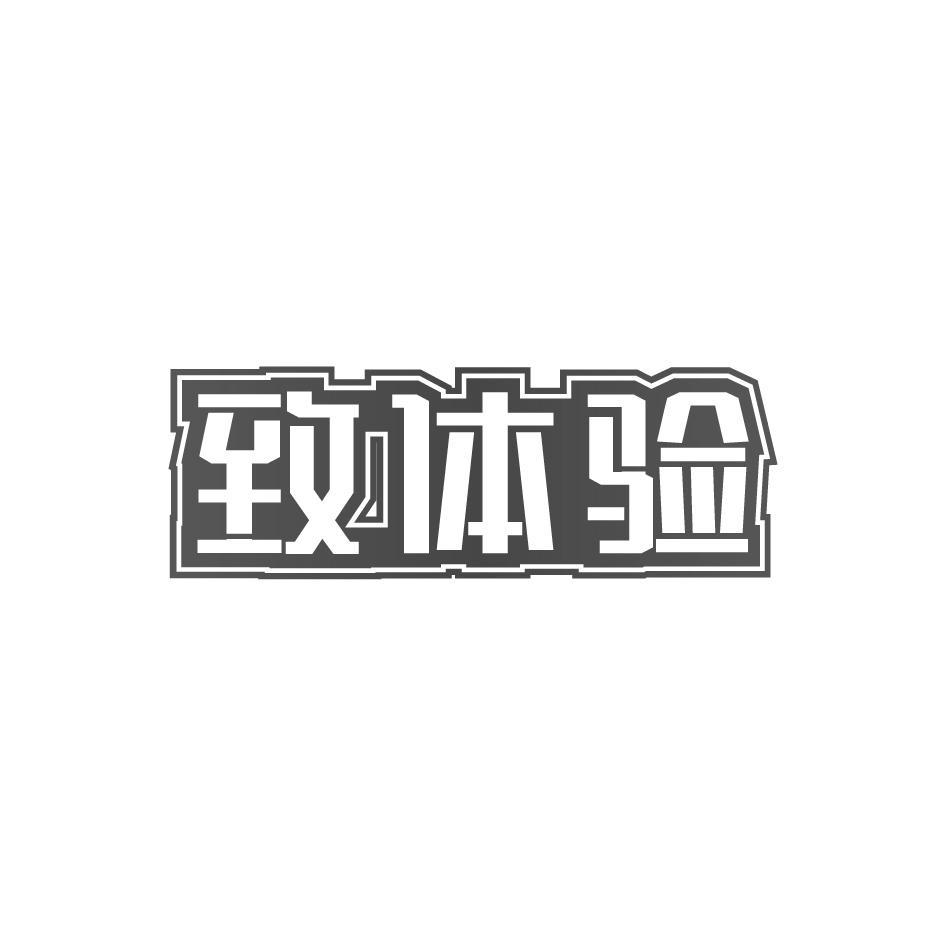 致体验