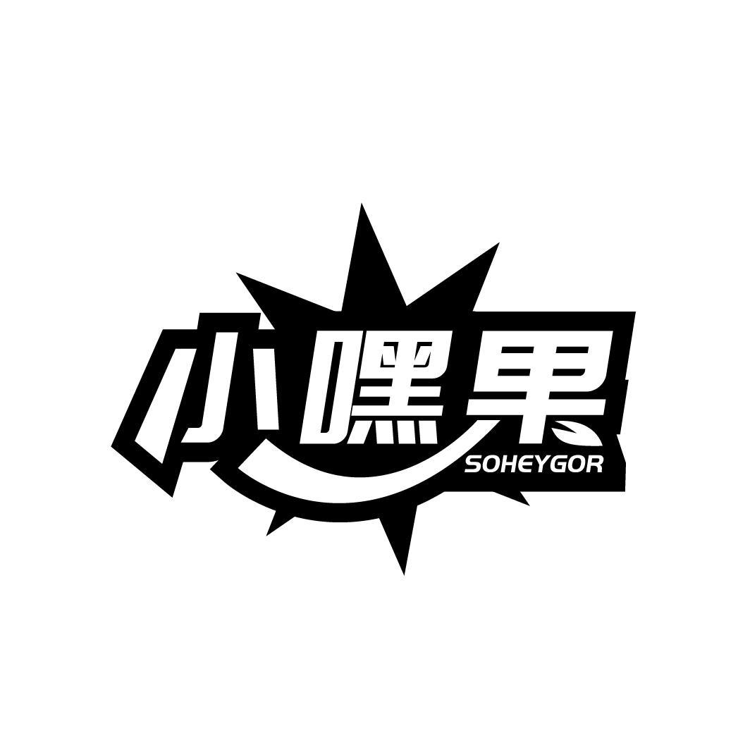 小嘿果
SOHEYGOR