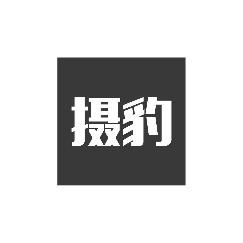 摄豹