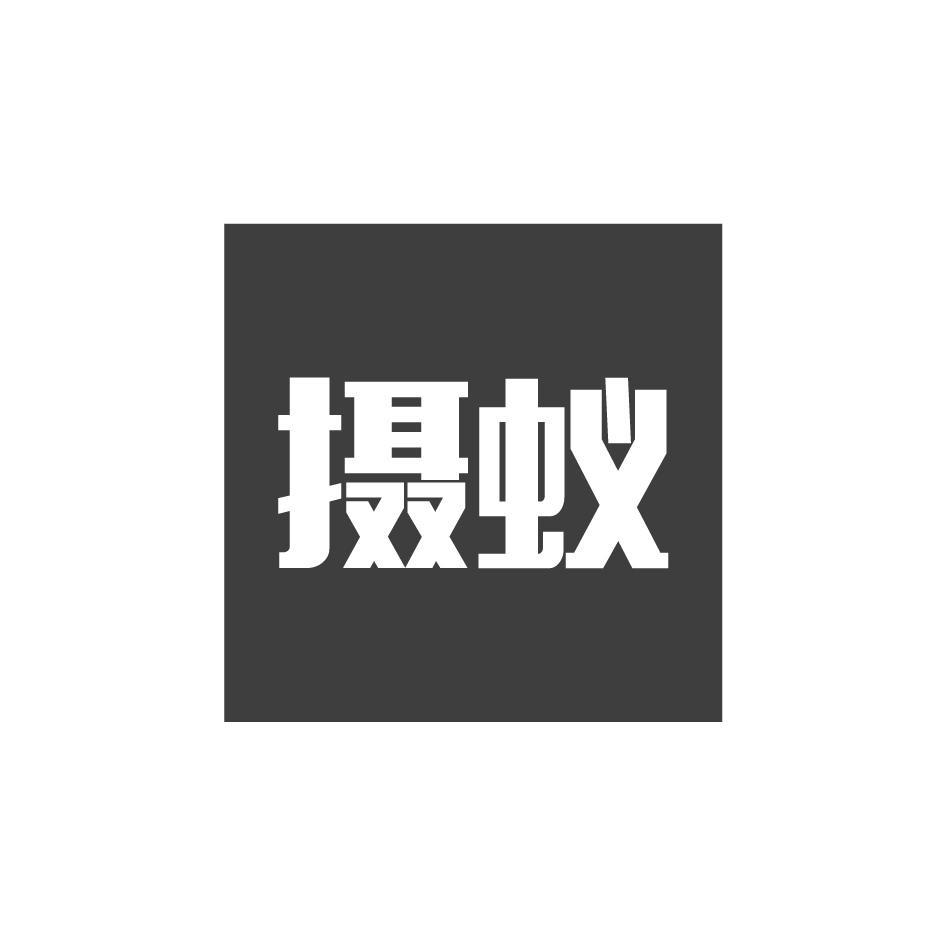摄蚁