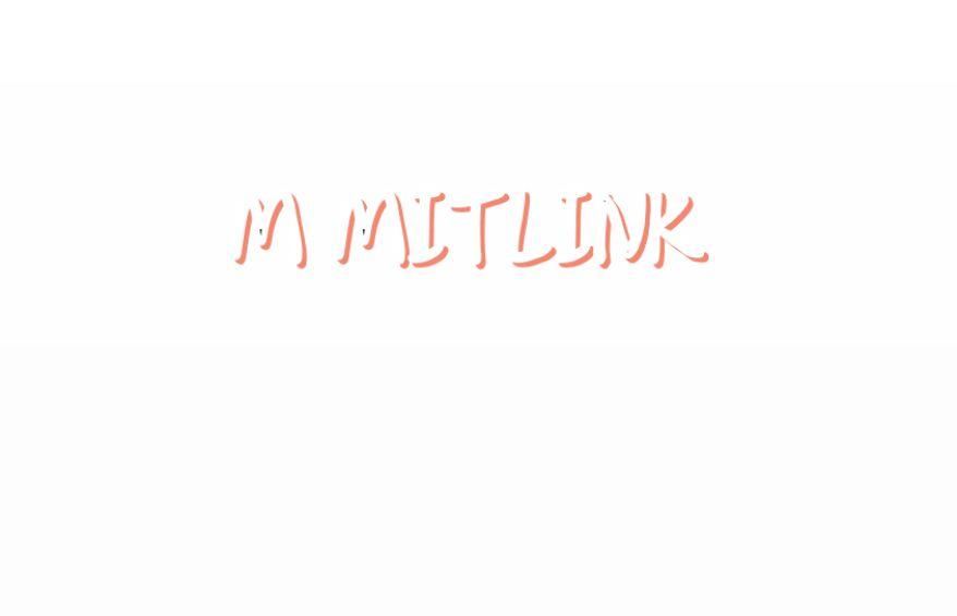 M MITLINK