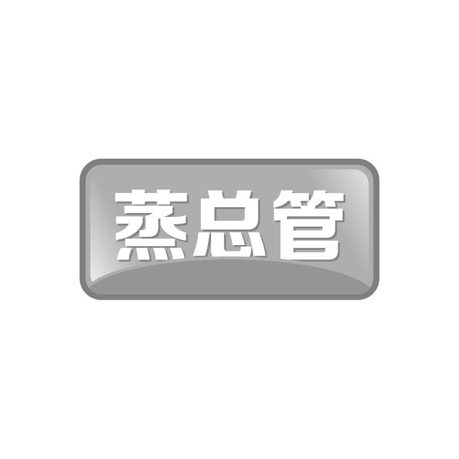 蒸总管