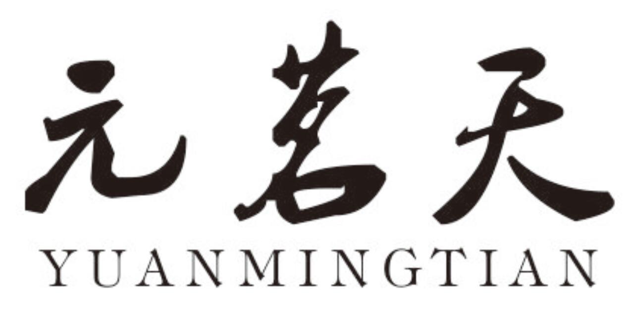元茗天