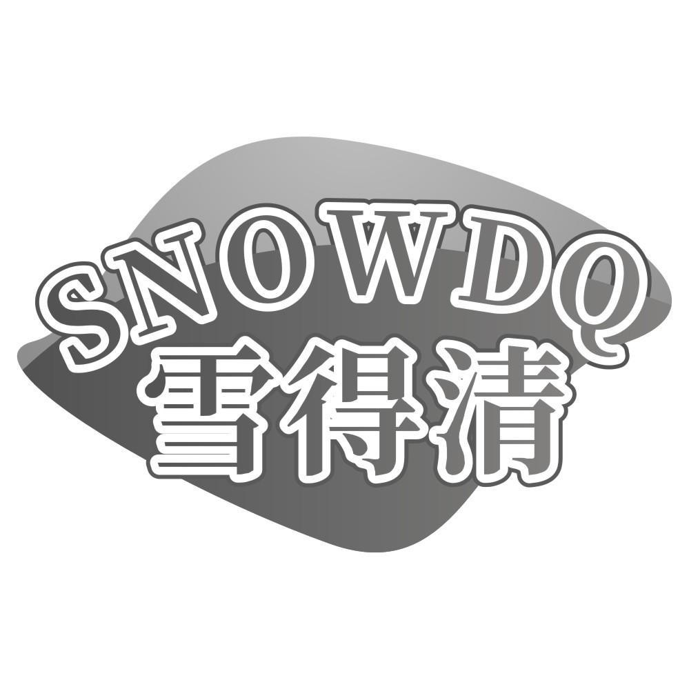 雪得清SNOWDQ