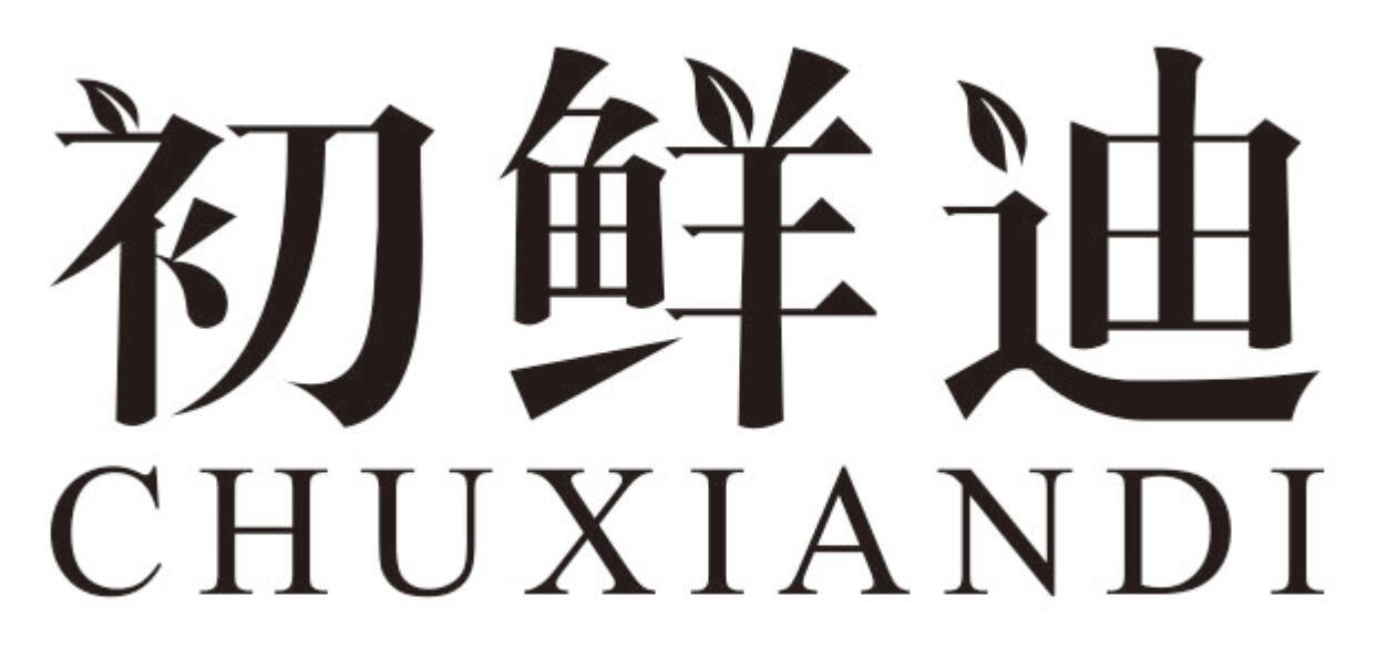 初鲜迪