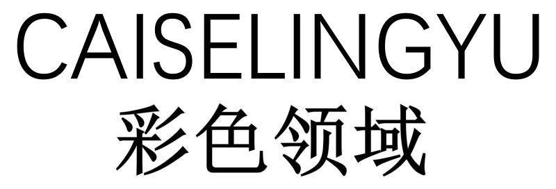 彩色领域