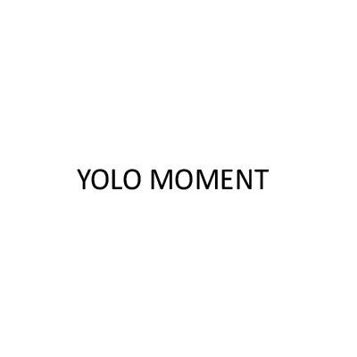 YOLO MOMENT