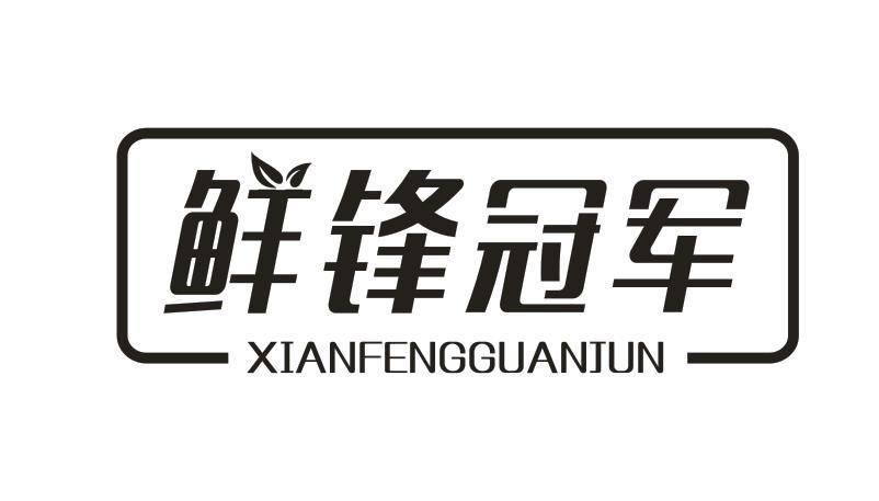 鲜锋冠军