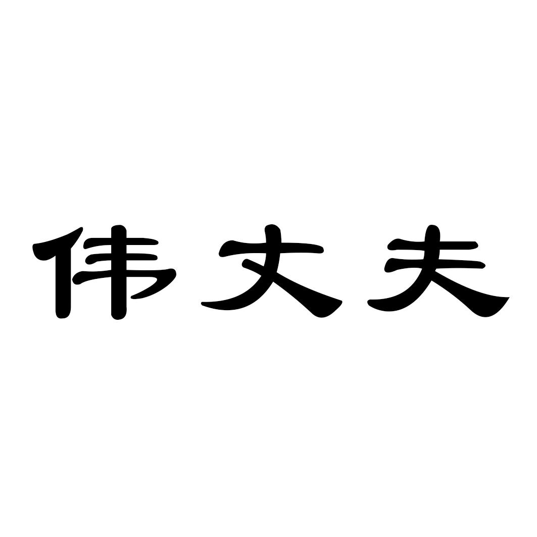 伟丈夫