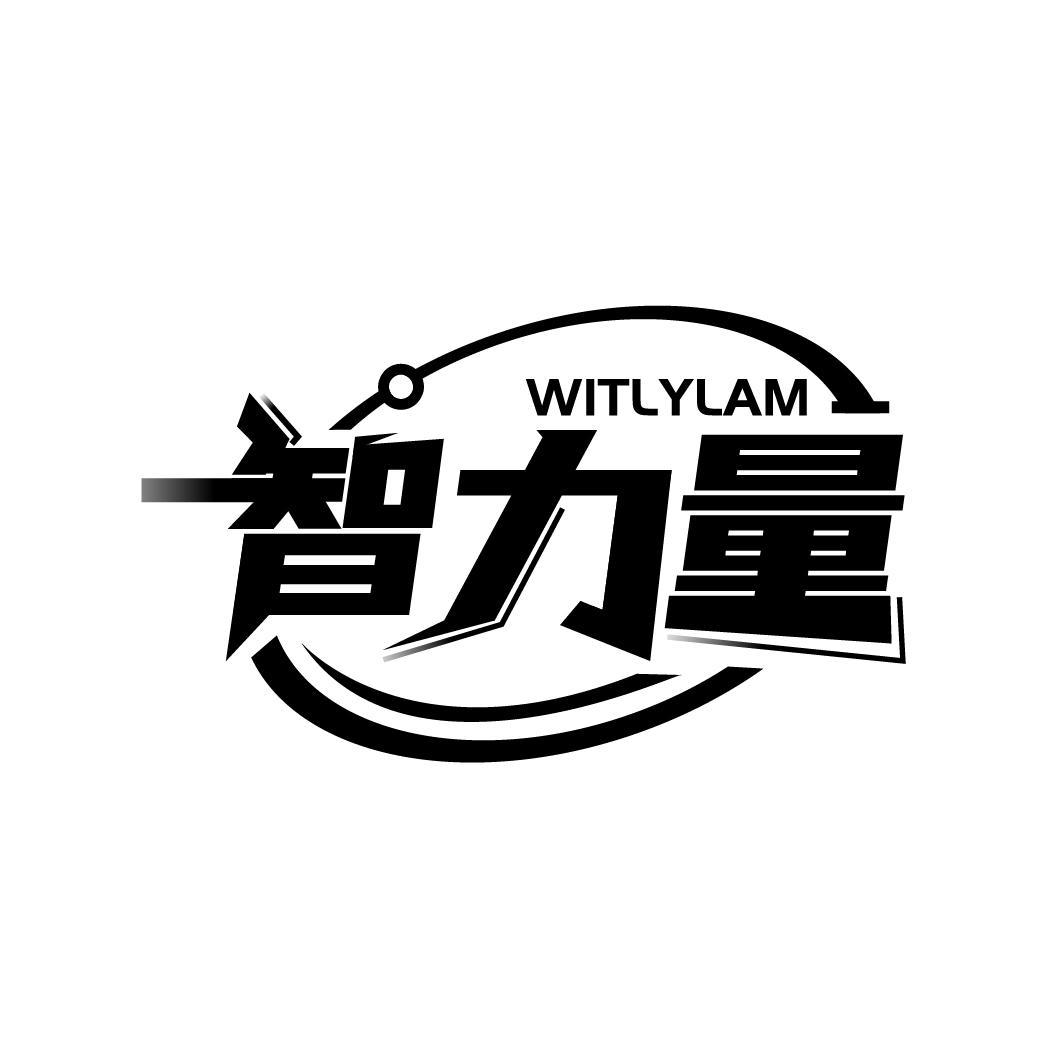 智力量
WITLYLAM