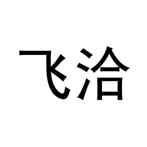 飞洽
