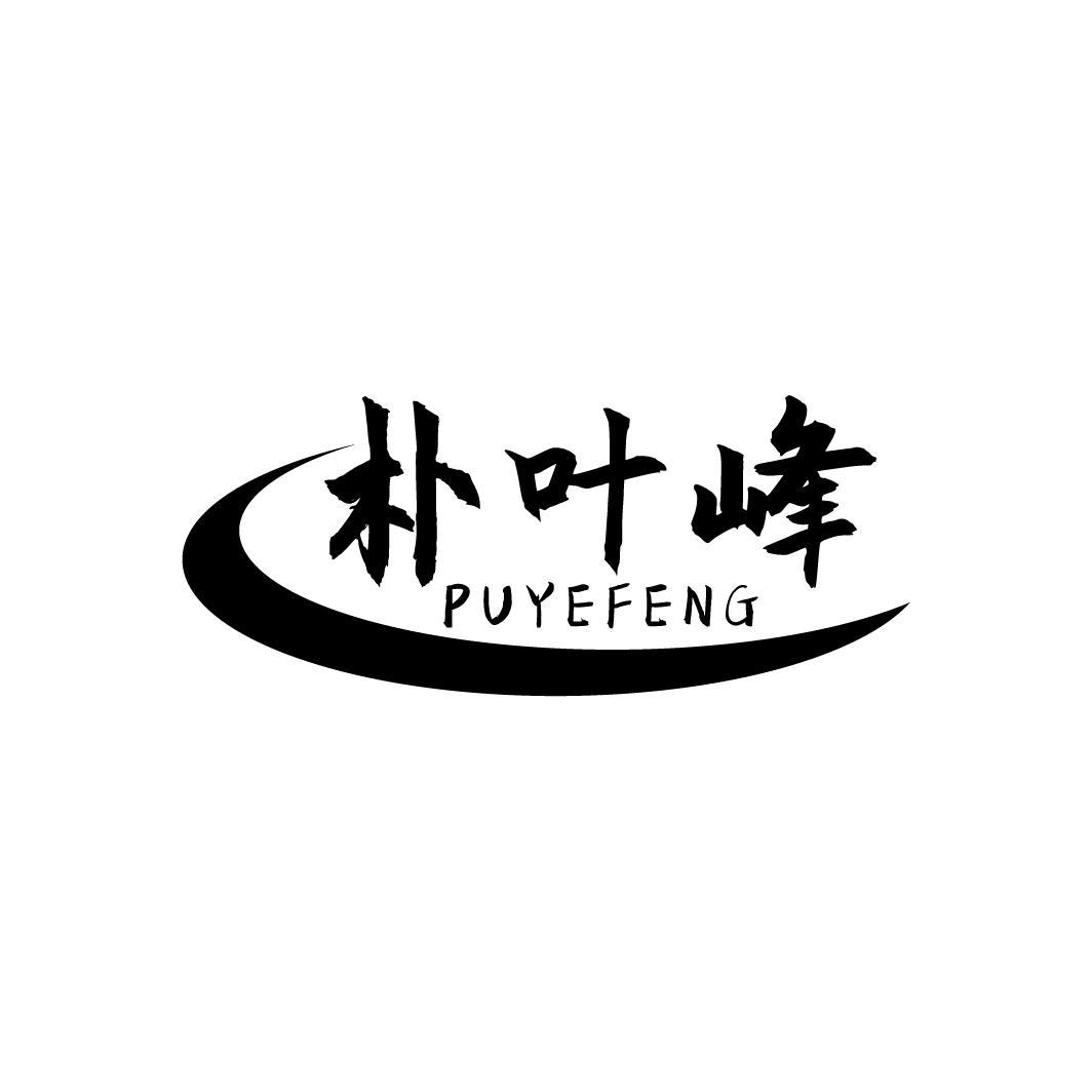 朴叶峰