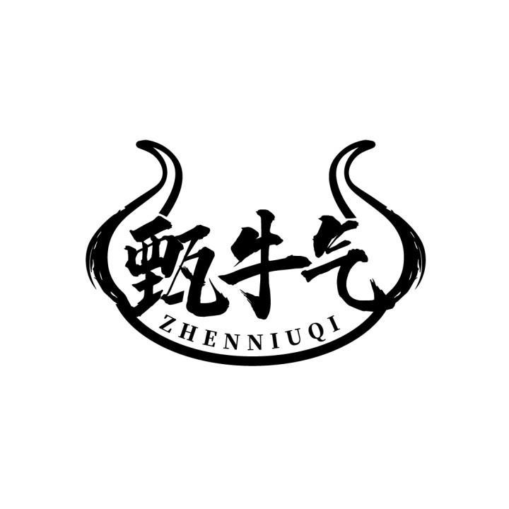 甄牛气
ZHENNIUQI