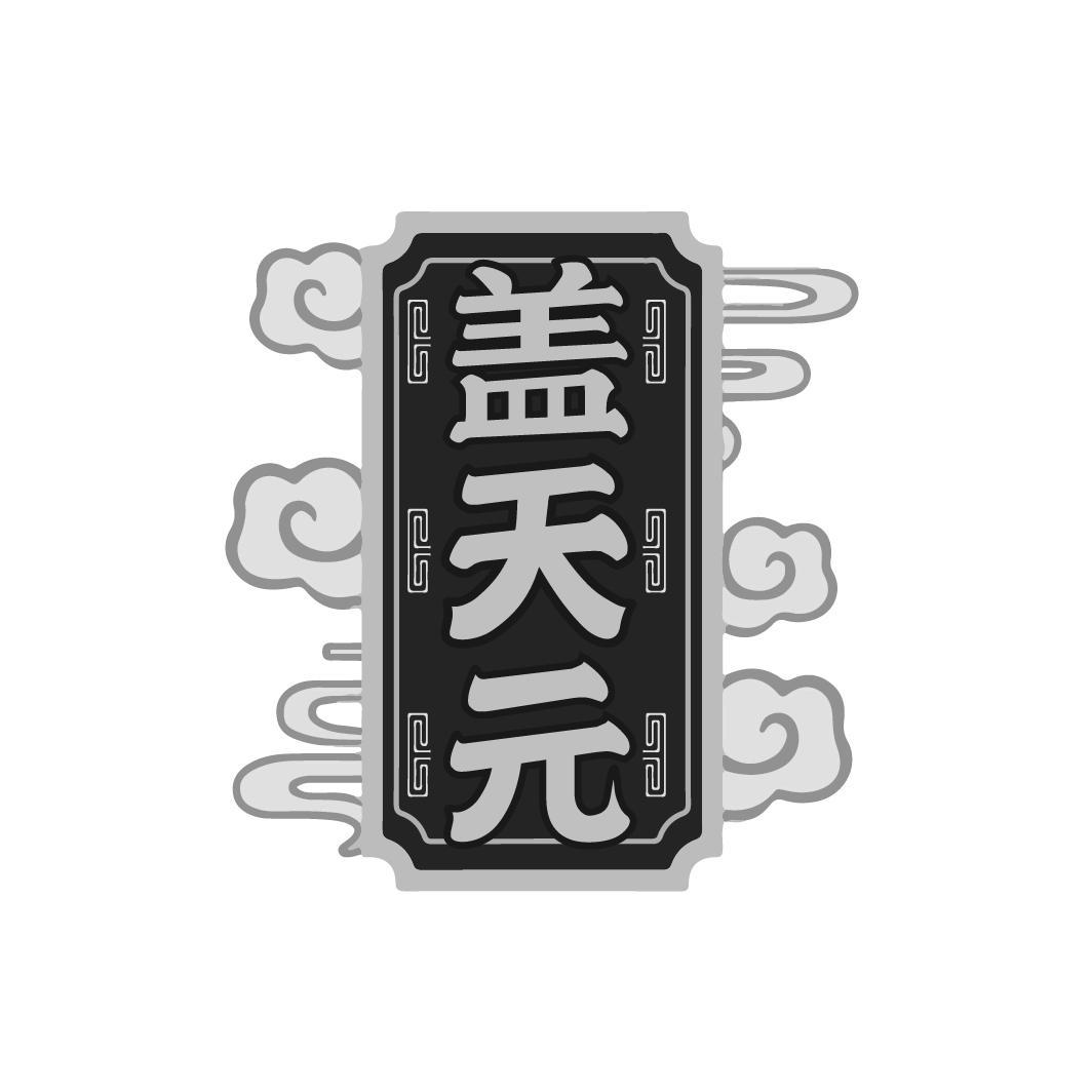 盖天元