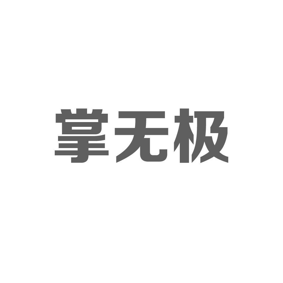掌无极