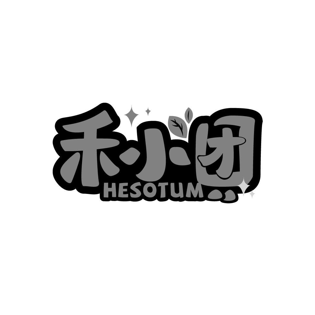 禾小团
 HESOTUM
