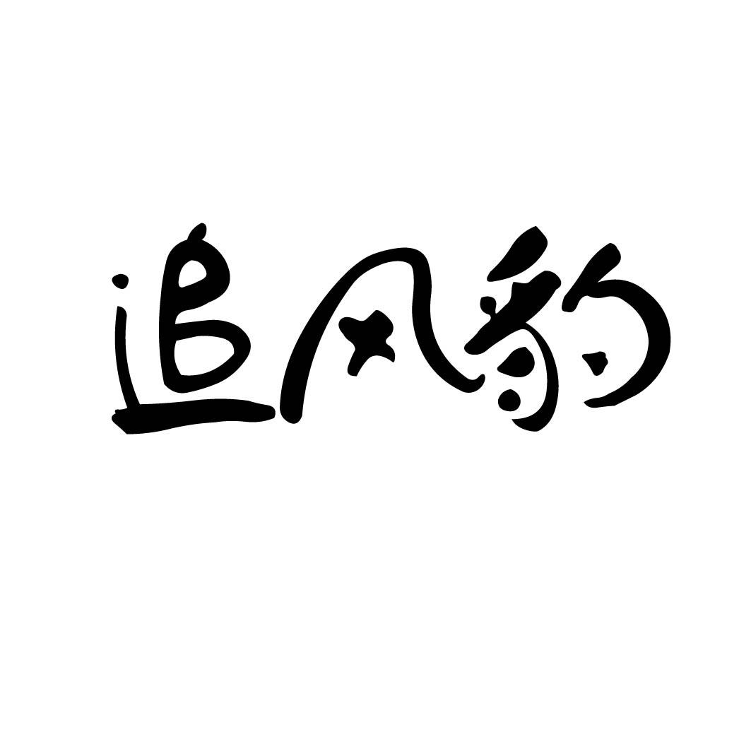 追风豹