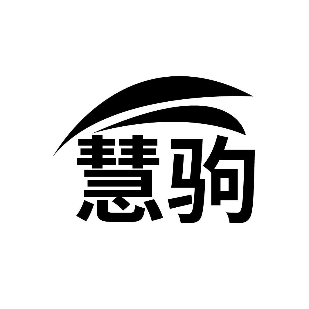 慧驹
