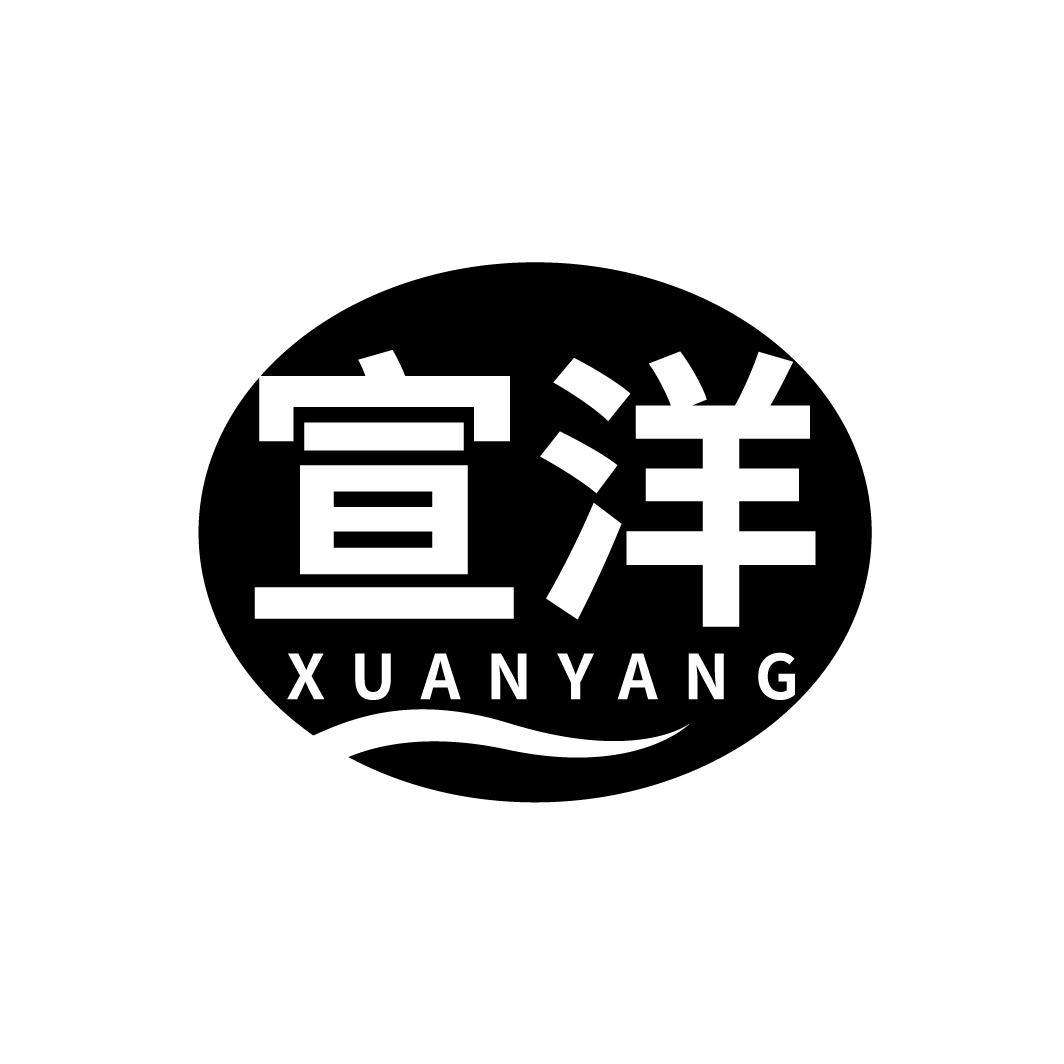 宣洋
XUANYANG