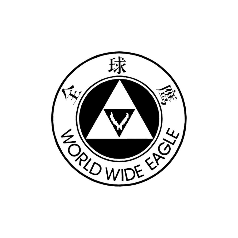 全球鹰 