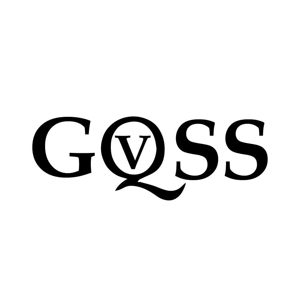 GVQSS