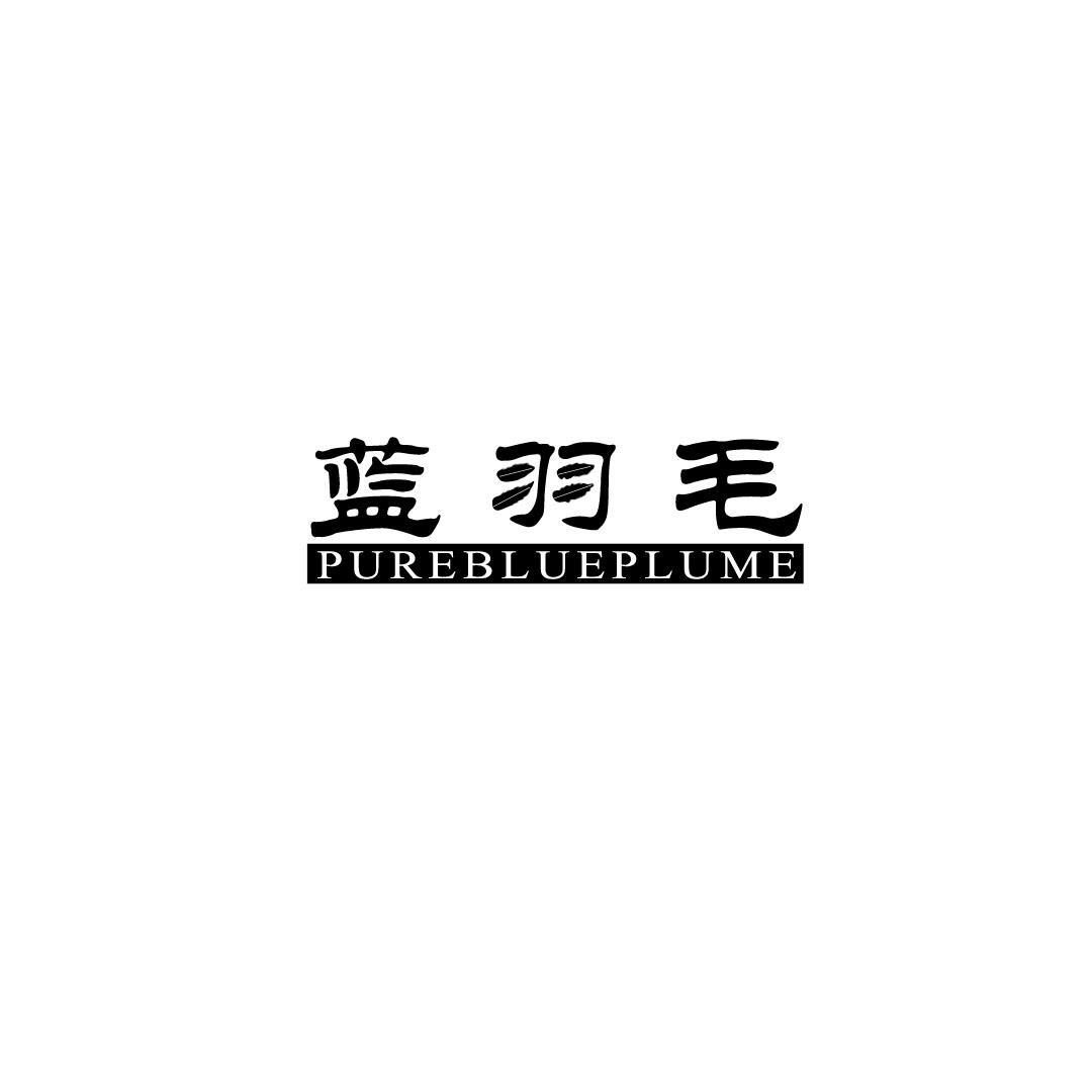 蓝羽毛 PUREBLUEPLUME