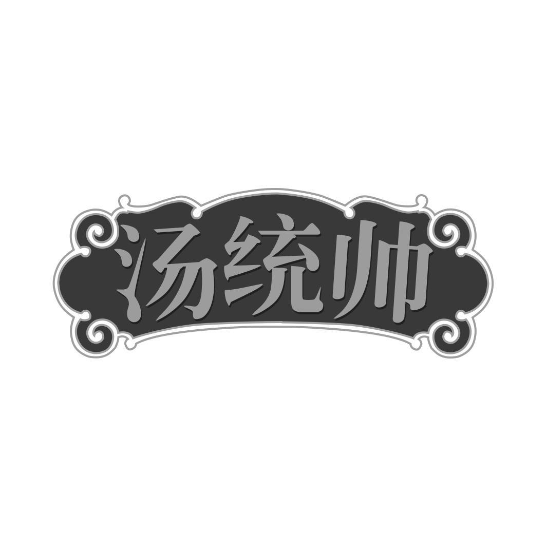 汤统帅