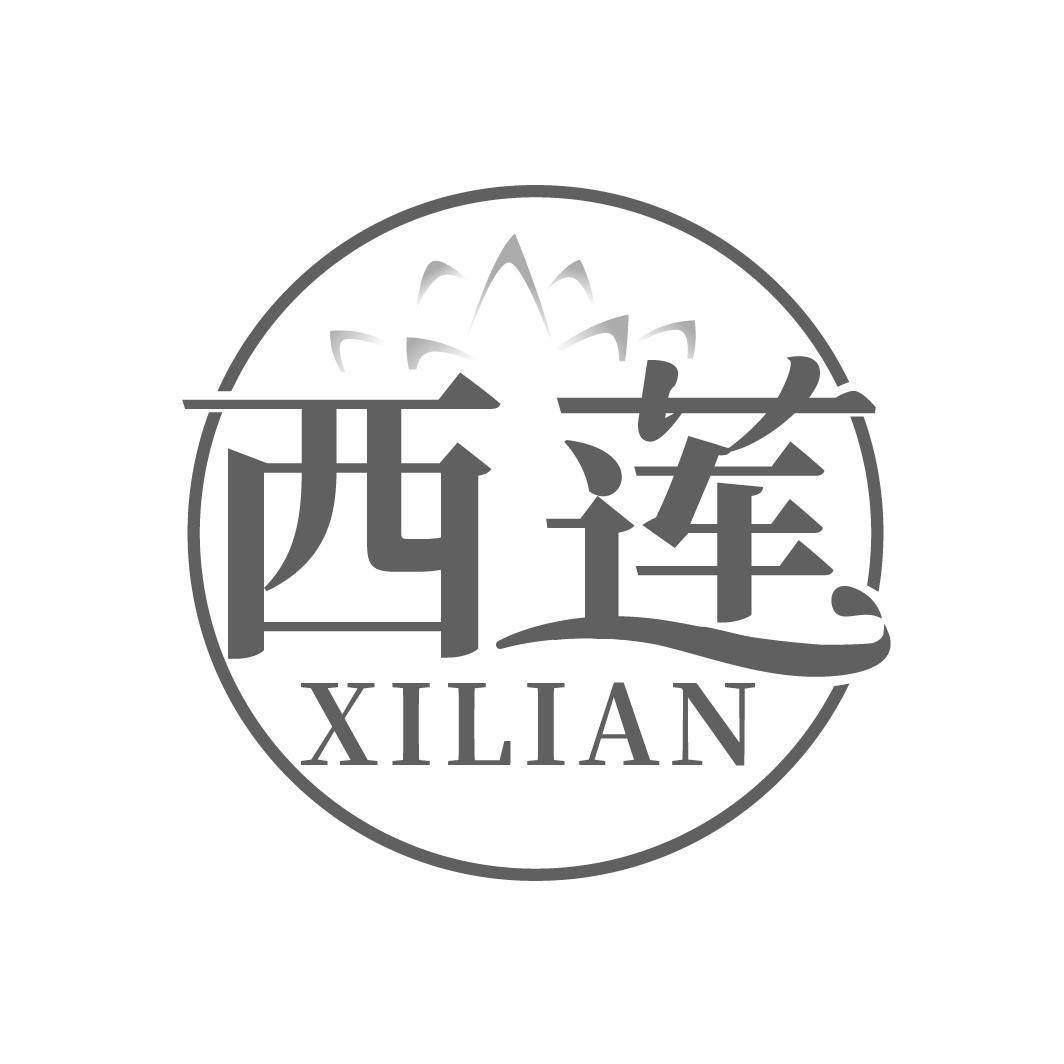 西莲
XILIAN