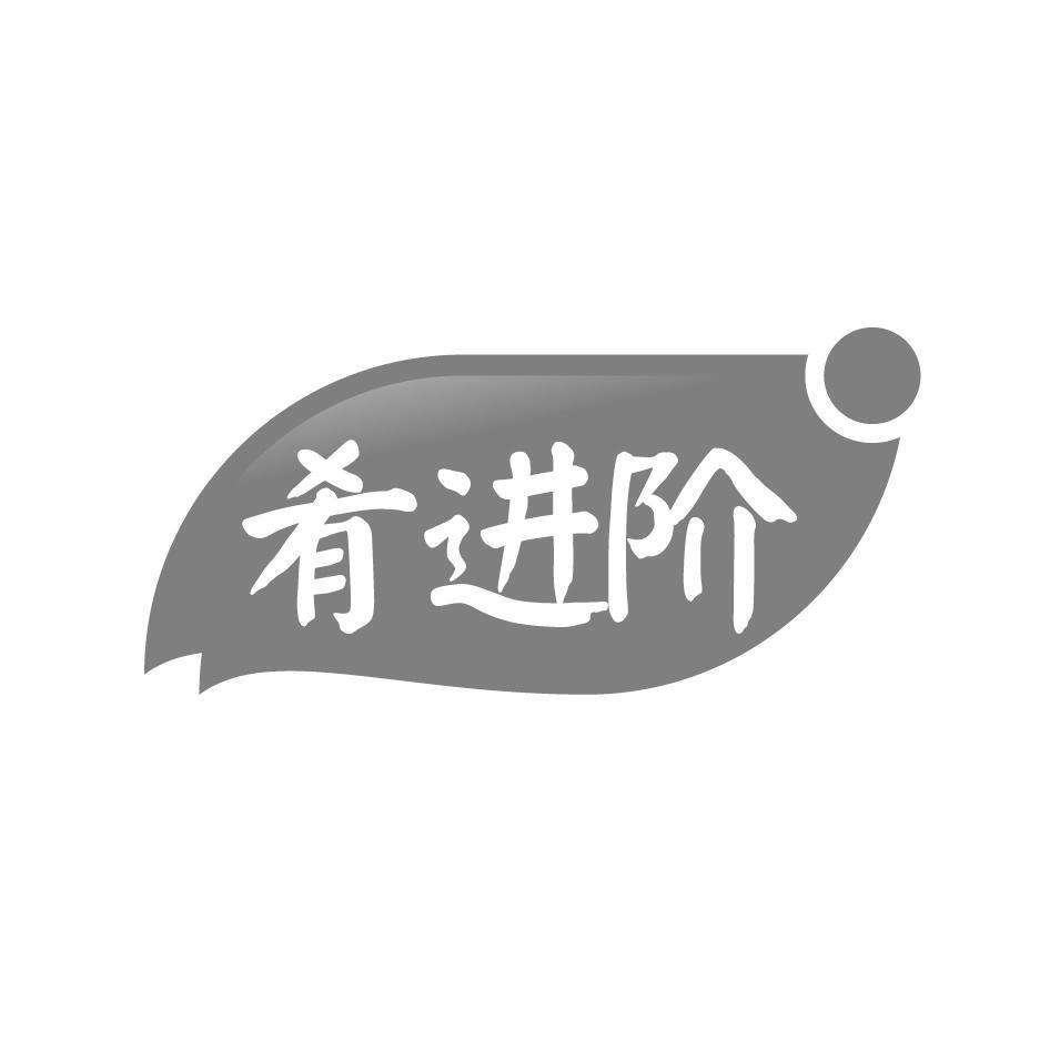 肴进阶