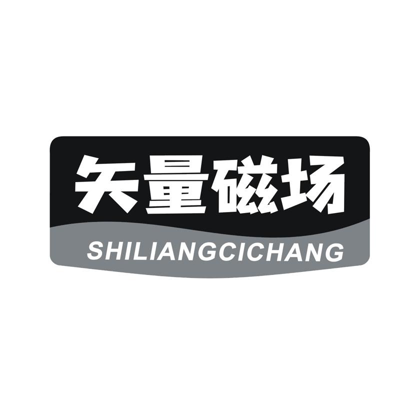 矢量磁场