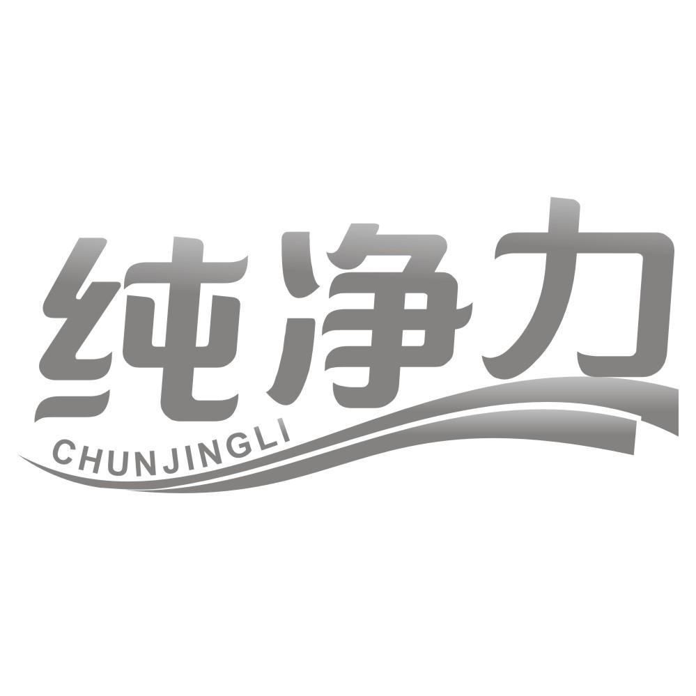 纯净力