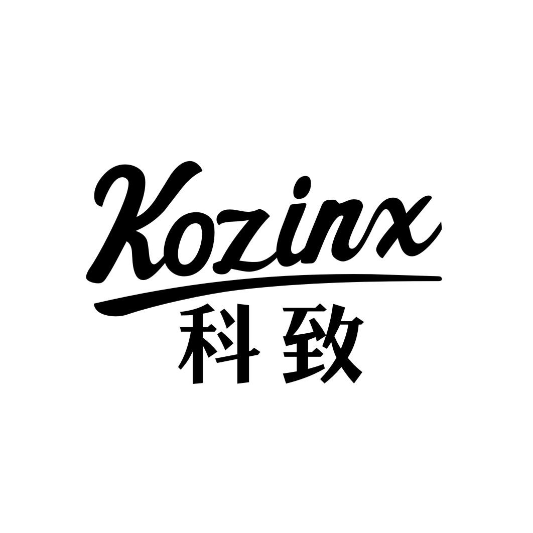 科致  KOZINX