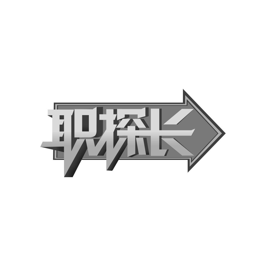 职探长