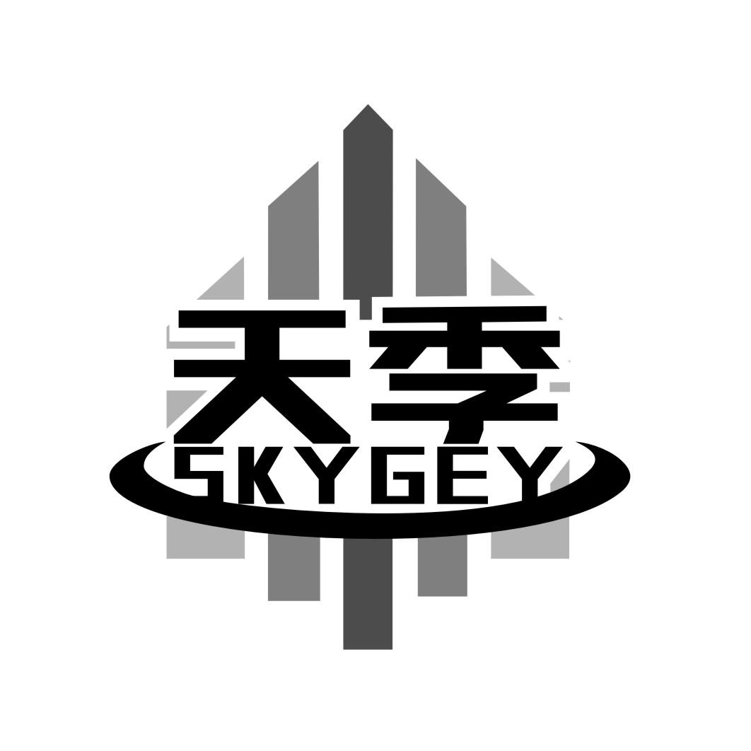 天季SKYGEY