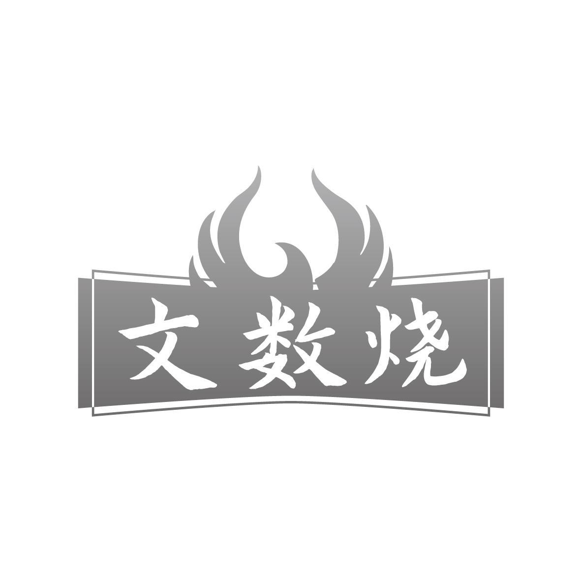 文数烧