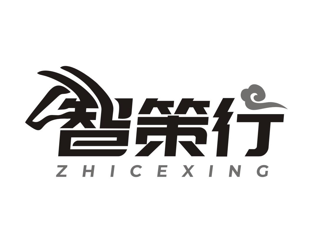 智策行ZHICEXING