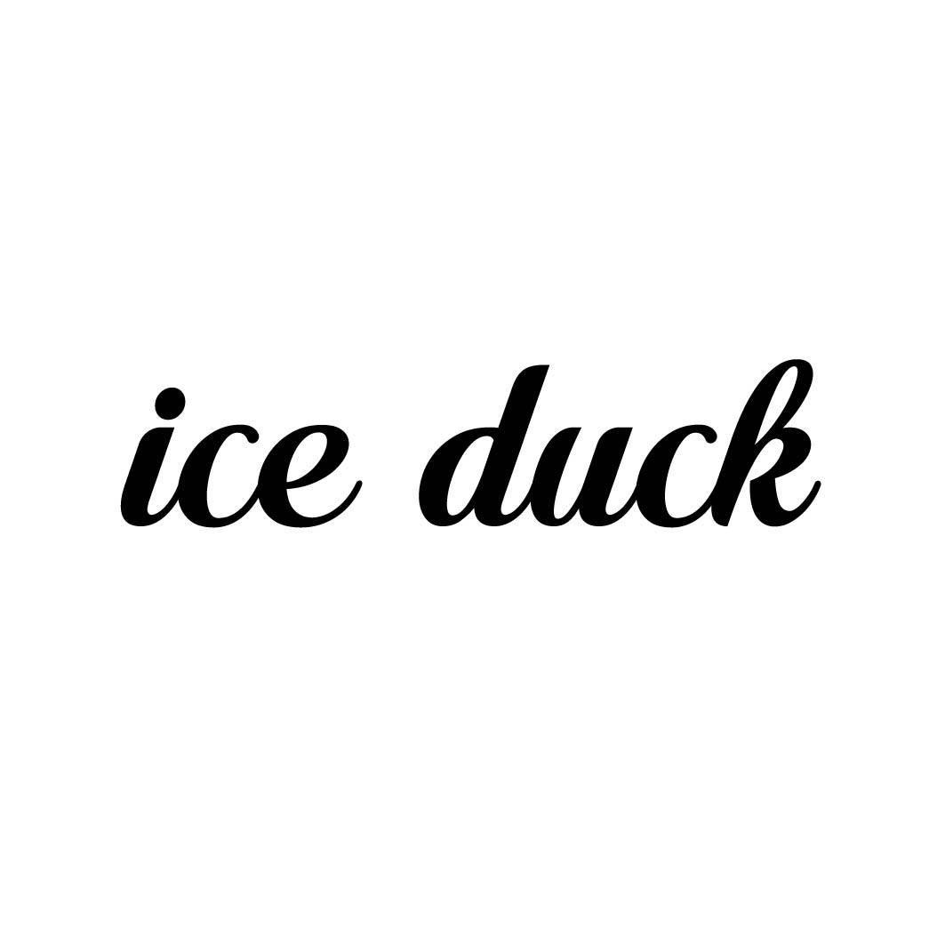 ICE DUCK 