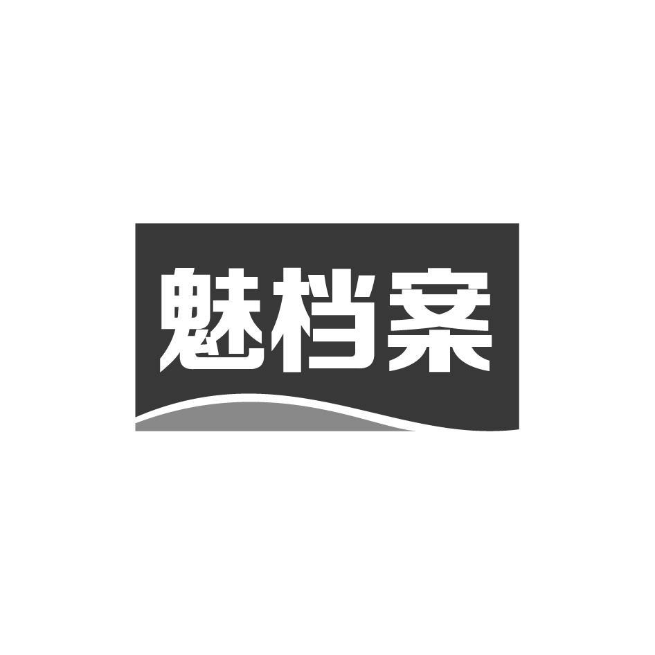 魅档案