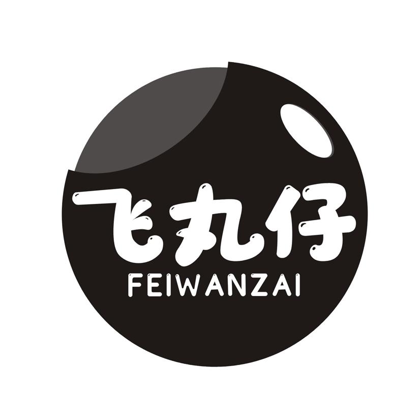 飞丸仔