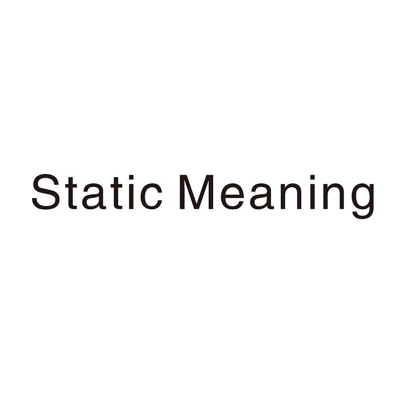 STATIC MEANING