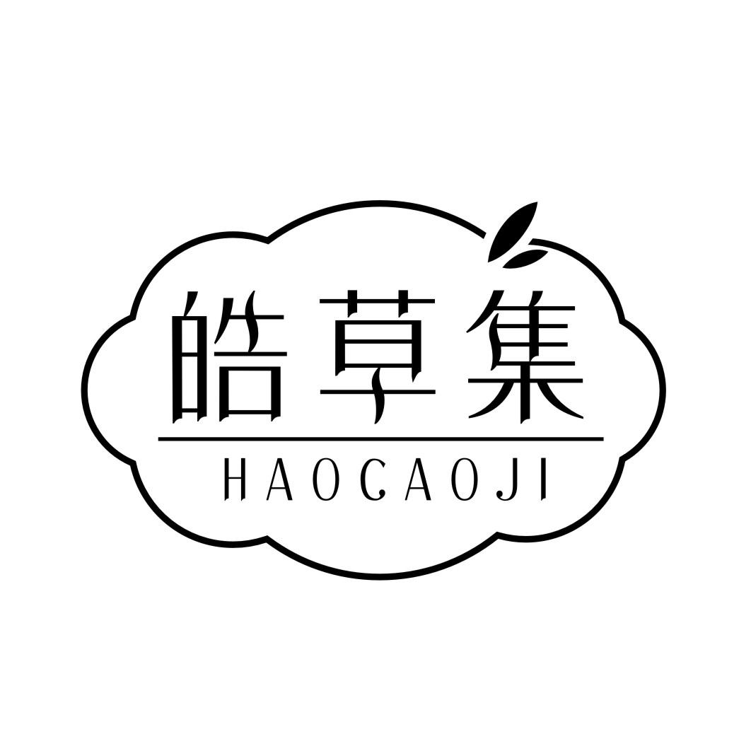 皓草集HAOCAOJI