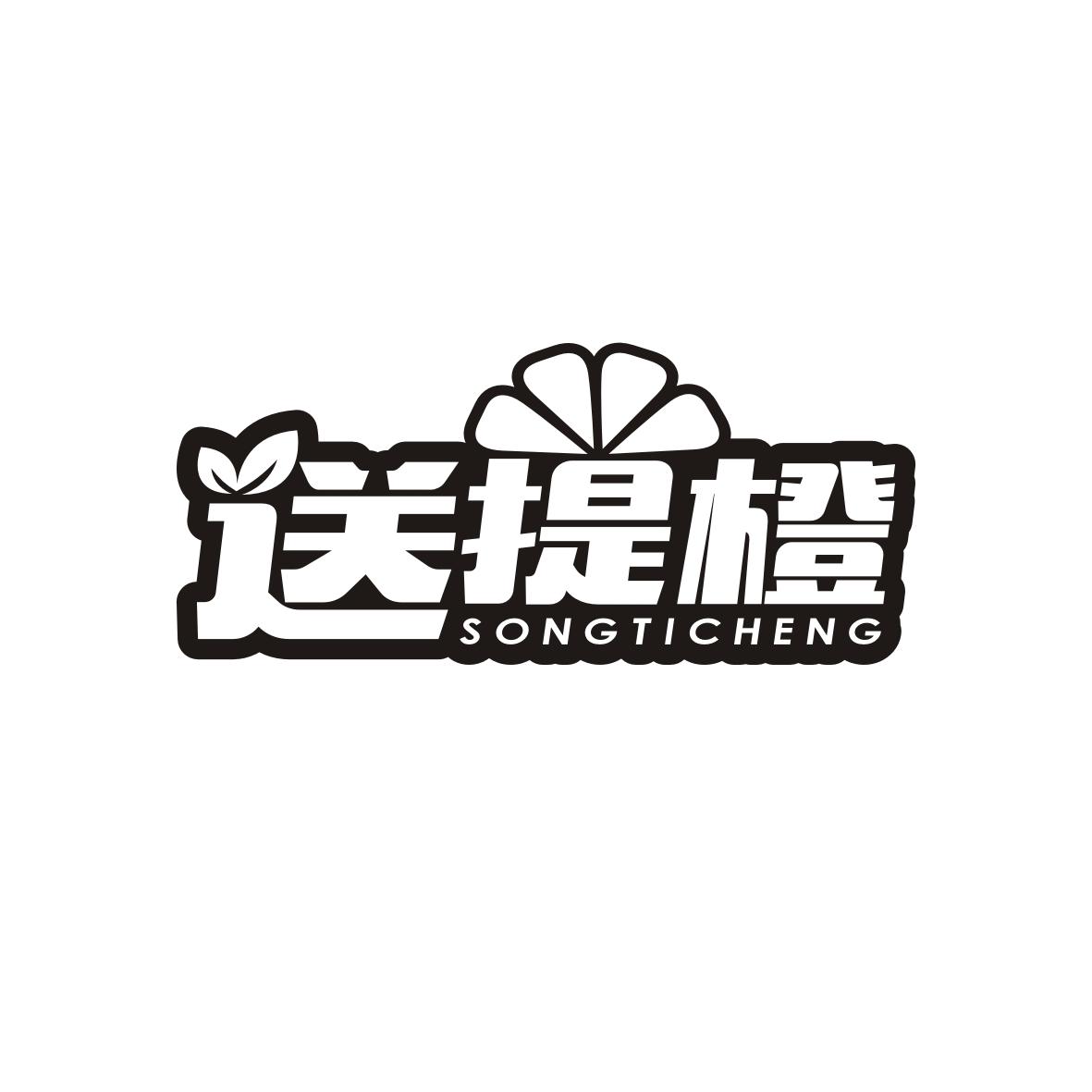 送提橙SONGTICHENG