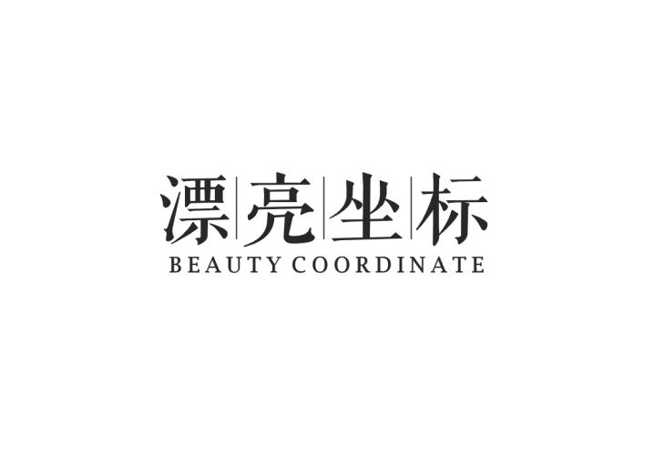 漂亮坐标